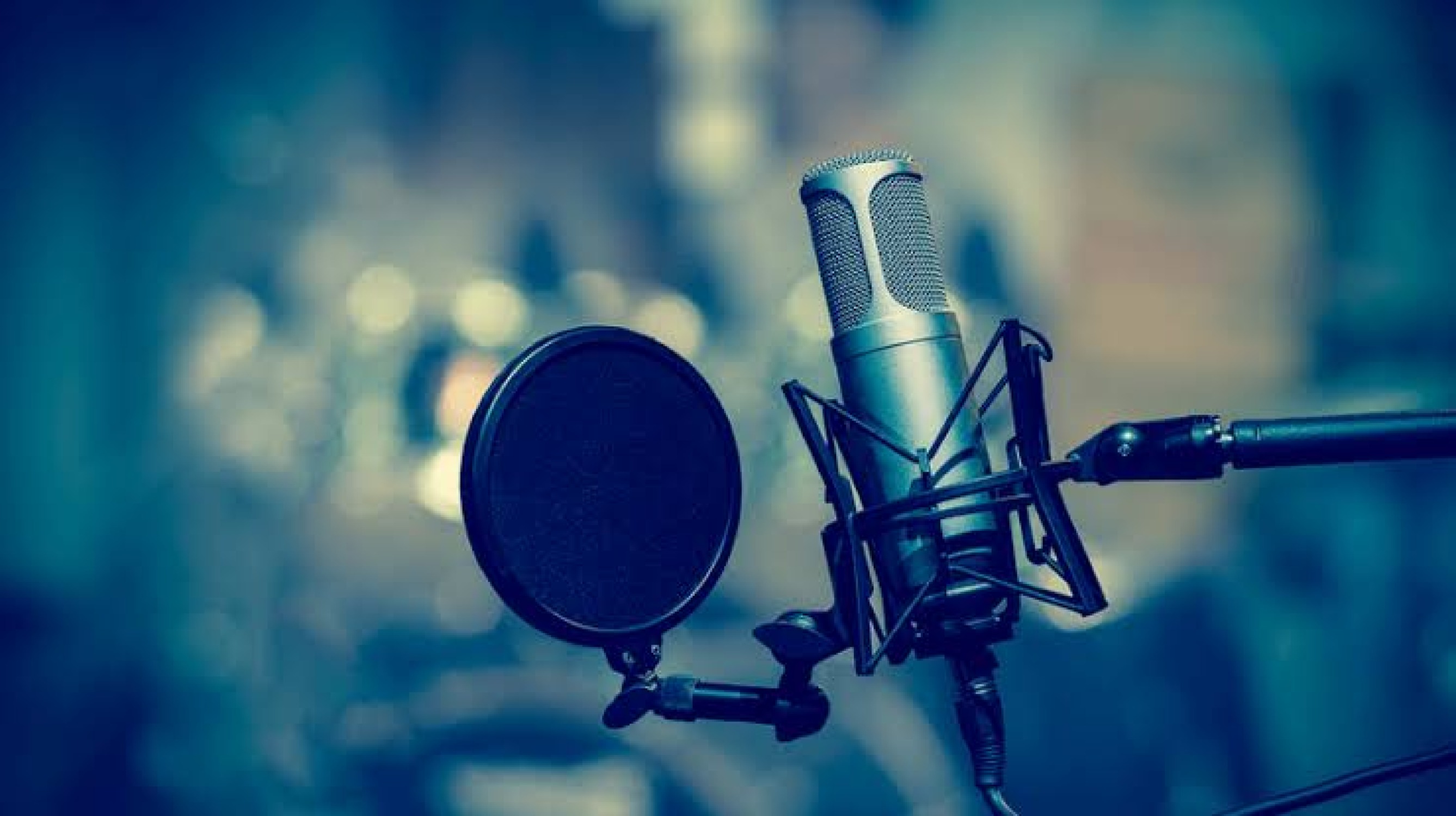 Professional Voice Artist